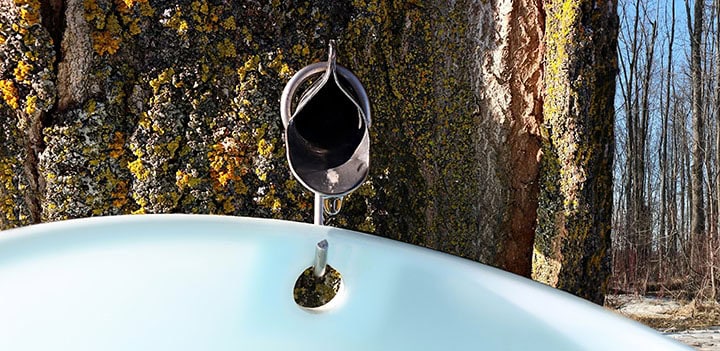 Maple Syrup Producers Use Heat Exchangers to Improve Production Maple Syrup Producers Use Heat Exchangers to Improve Production